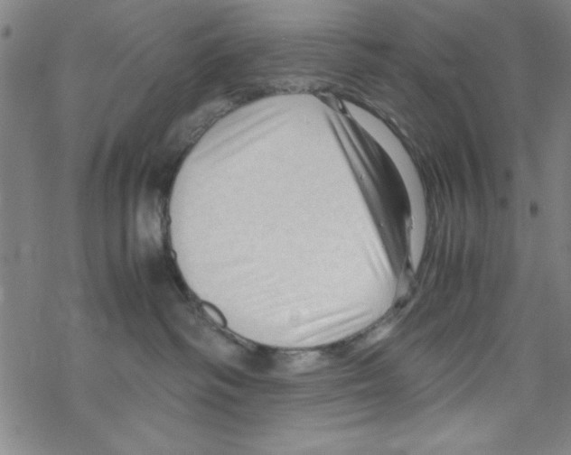 X0000067520334200605051901