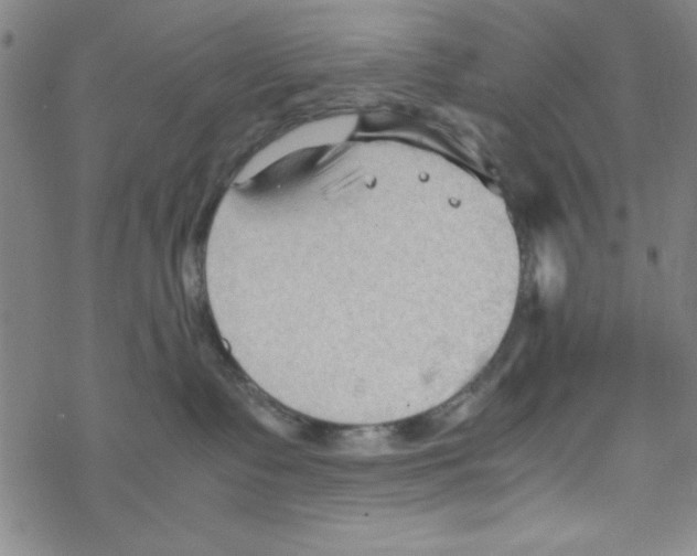 X0000067520335200605051901