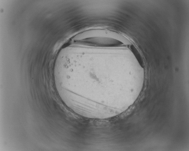 X0000067520337200605051900