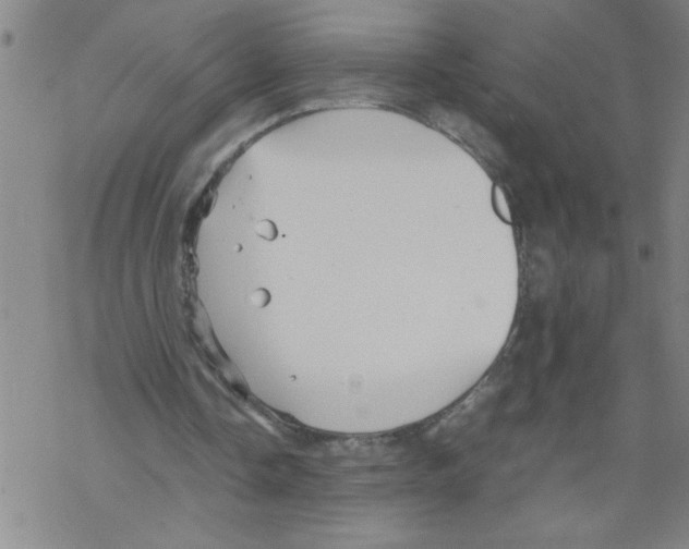 X0000067520338200605051900