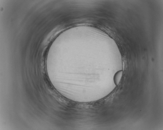 X0000067520339200605051900