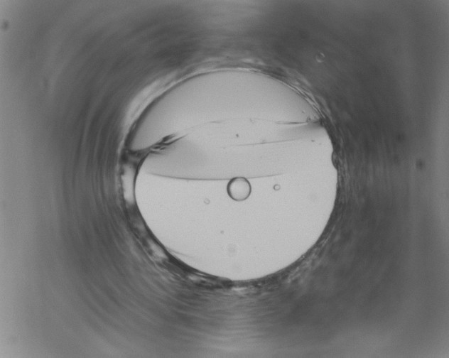 X0000067520340200605051900