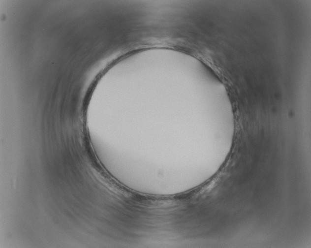 X0000067520342200605051900