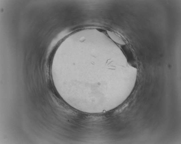 X0000067520343200605051900