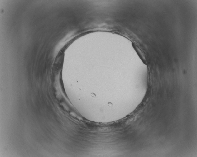 X0000067520344200605051900