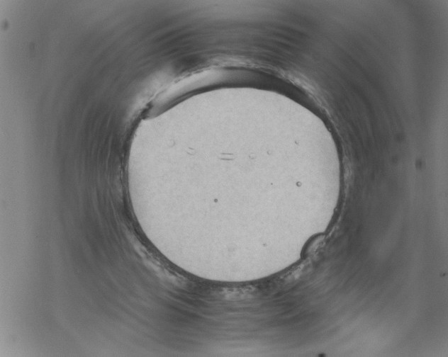 X0000067520345200605051900