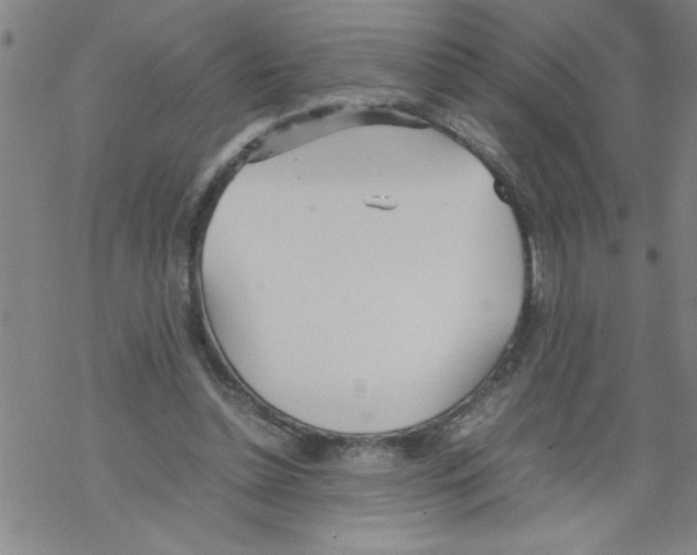 X0000067520348200605051900