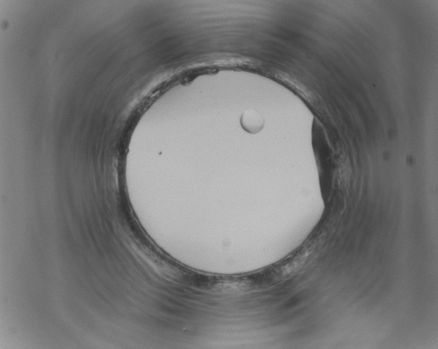 X0000067520350200605051900