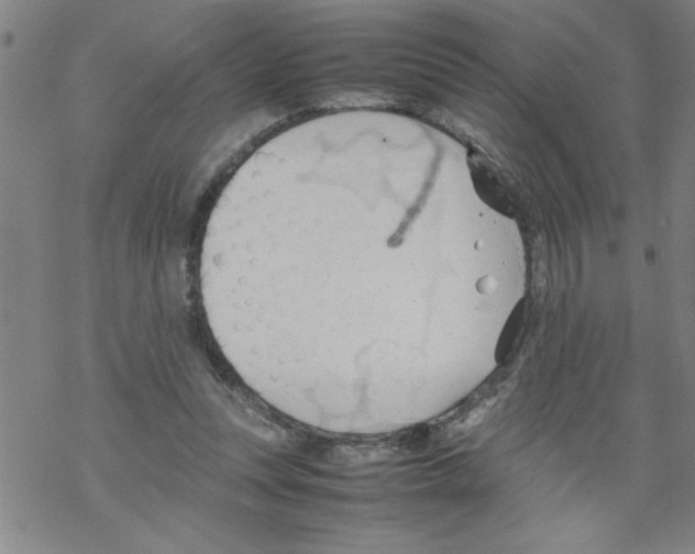 X0000067520351200605051900