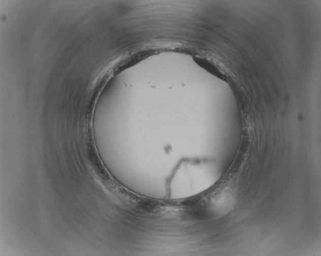 X0000067520352200605051900