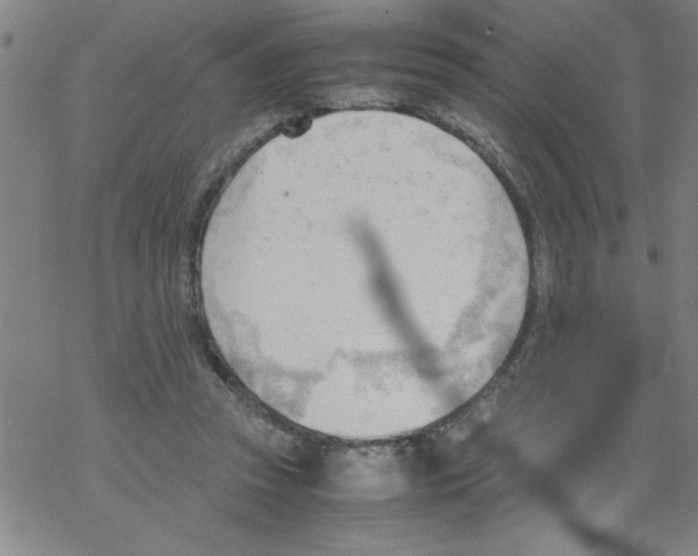 X0000067520353200605051900