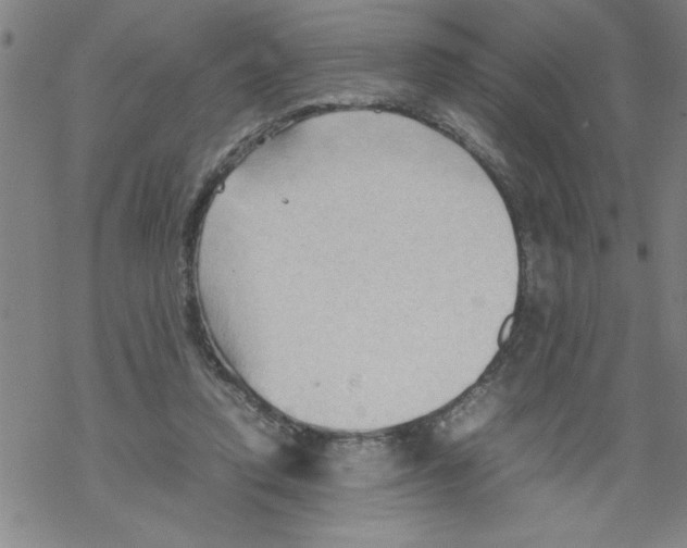 X0000067520354200605051900