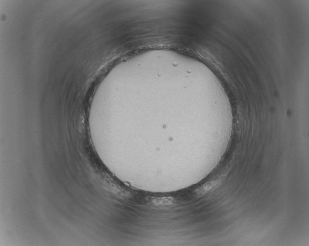 X0000067520355200605051900