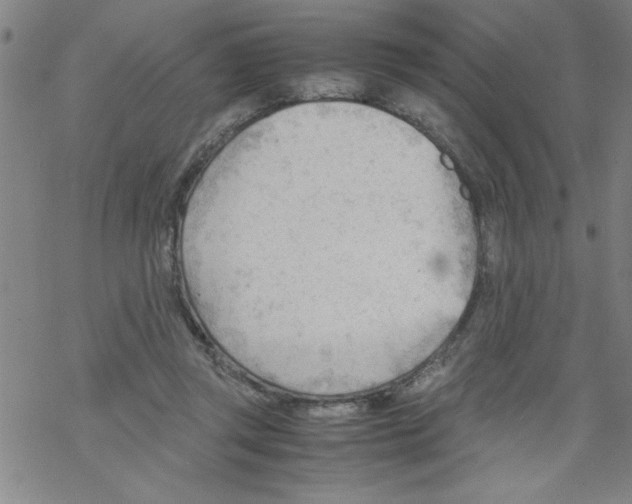 X0000067520357200605051900