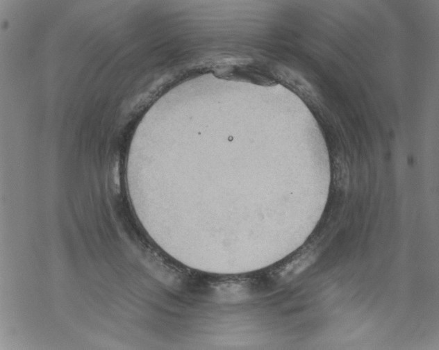 X0000067520358200605051900