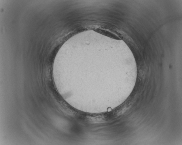 X0000067520359200605051900