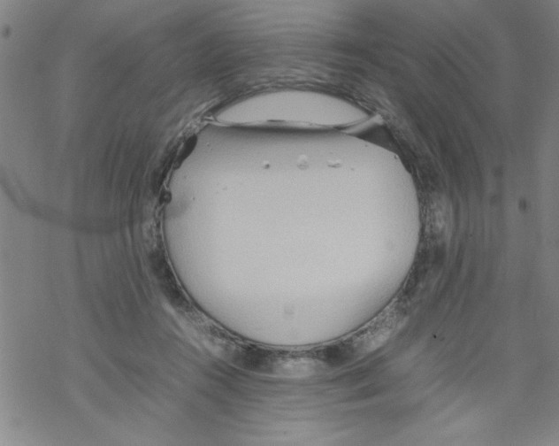 X0000067520360200605051900