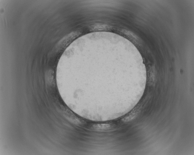 X0000067520361200605051900