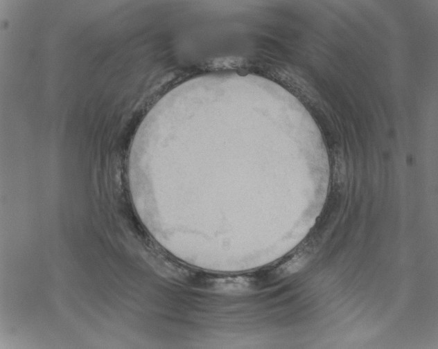 X0000067520363200605051900