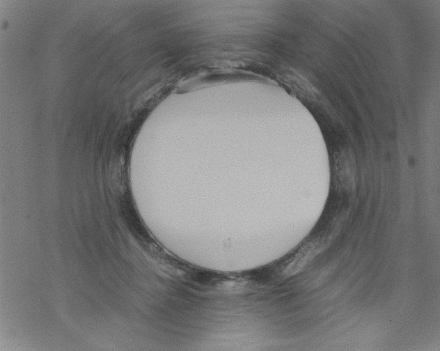 X0000067520364200605051900