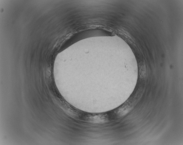 X0000067520365200605051900