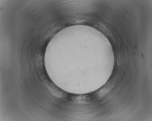 X0000067520366200605051900