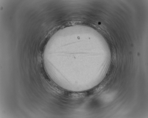 X0000067520367200605051900