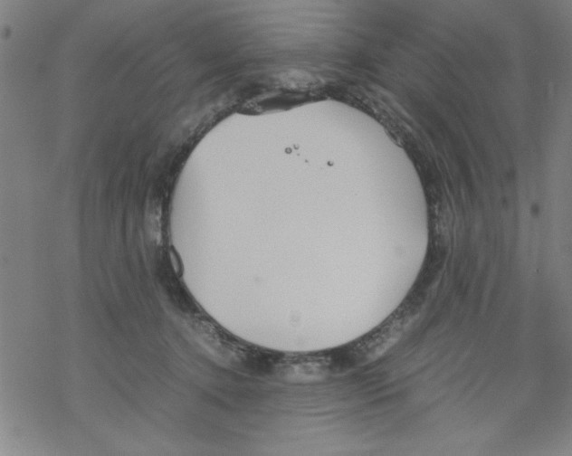 X0000067520368200605051900