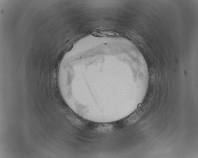 X0000067520369200605051900