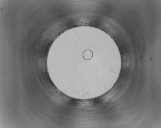 X0000067520370200605051900