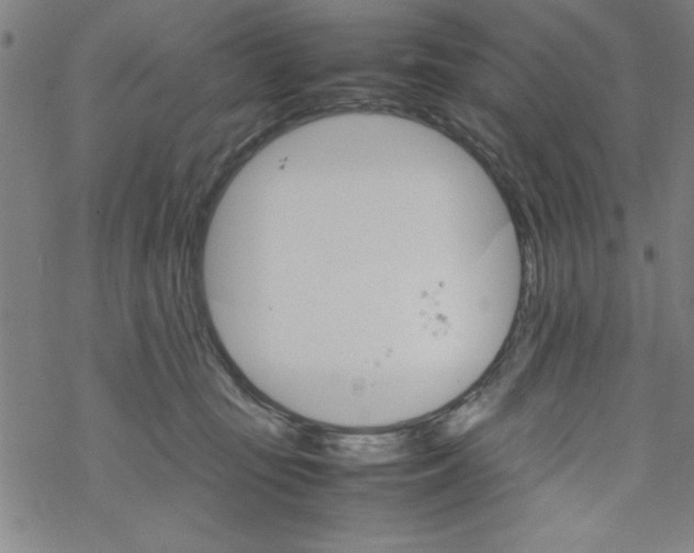 X0000067520371200605051900