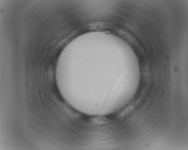 X0000067520372200605051900