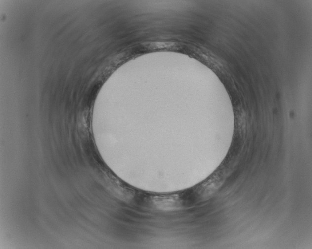 X0000067520373200605051900