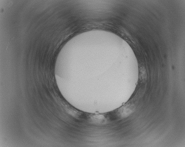 X0000067520374200605051900