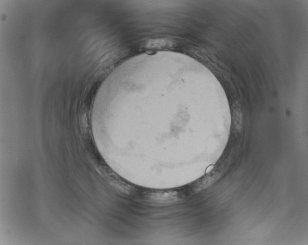 X0000067520375200605051900