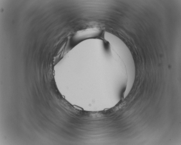 X0000067520376200605051900