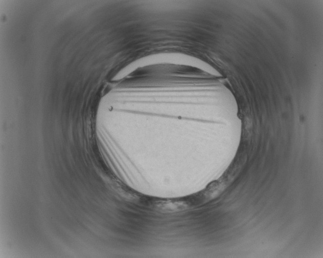 X0000067520379200605051901