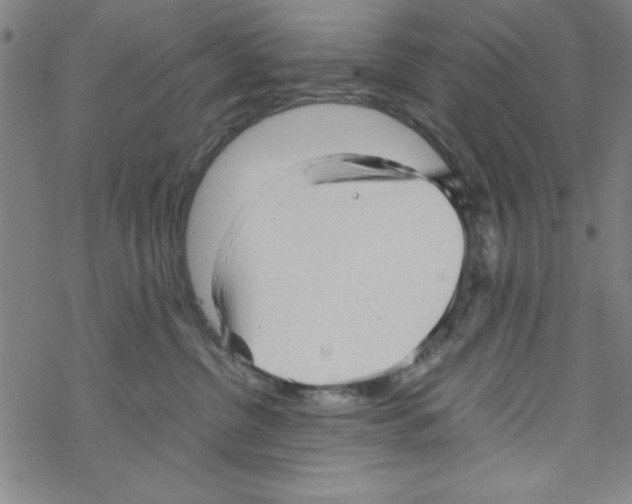 X0000067520380200605051901