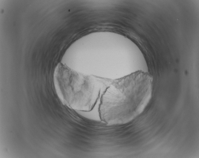 X0000067520381200605051901