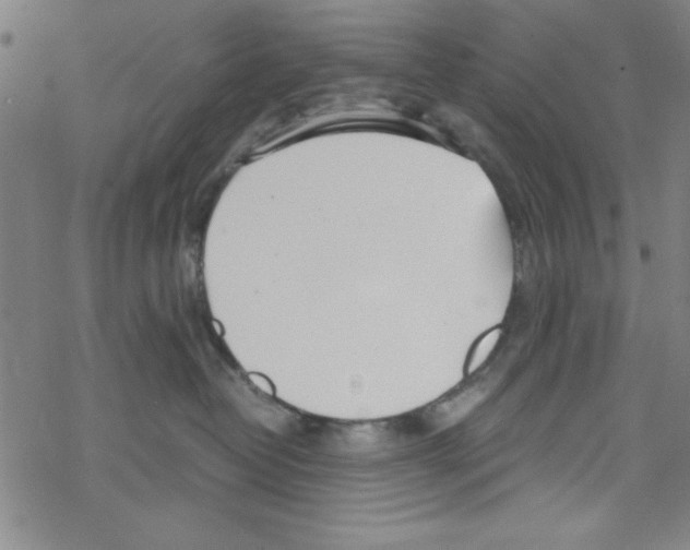 X0000067520382200605051901