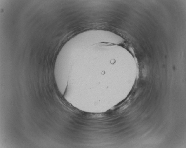 X0000067520383200605051901