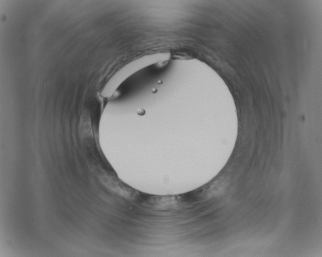 X0000067520384200605051901