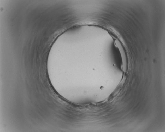 X0000067520385200605051900