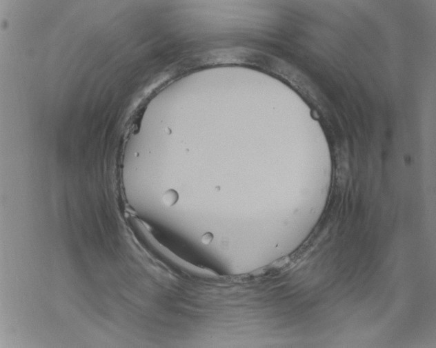 X0000067520386200605051900