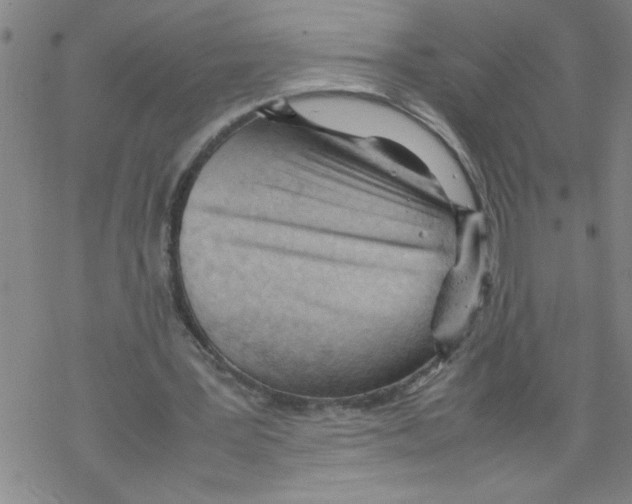 X0000067520387200605051900