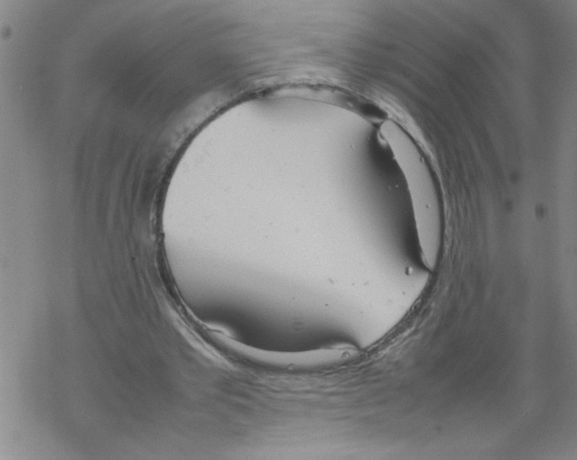 X0000067520389200605051900