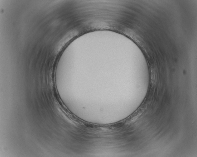 X0000067520390200605051900