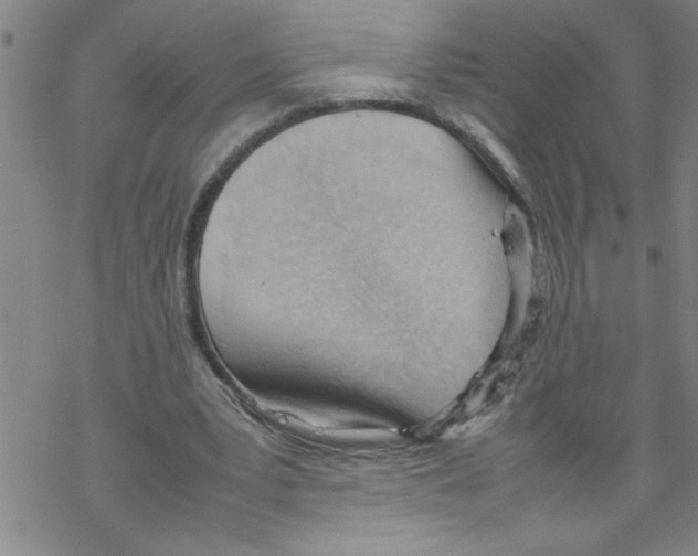 X0000067520391200605051900