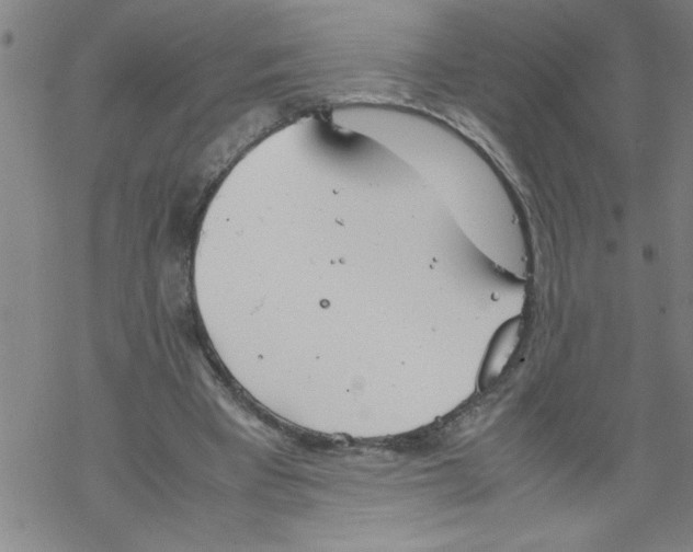 X0000067520393200605051900