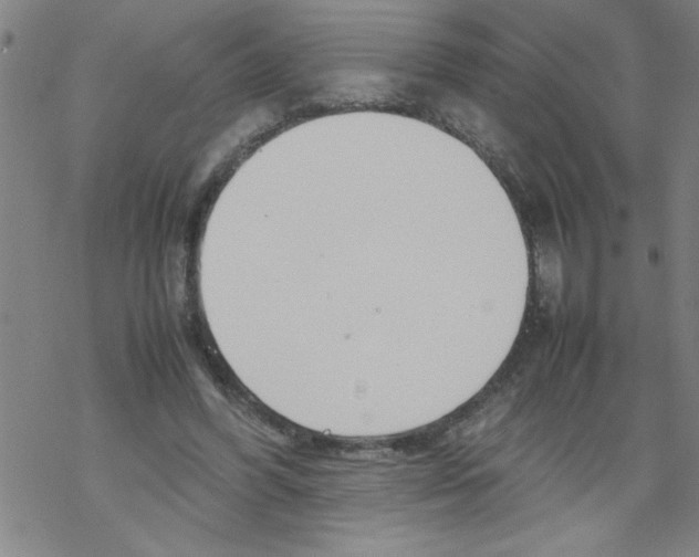 X0000067520396200605051900